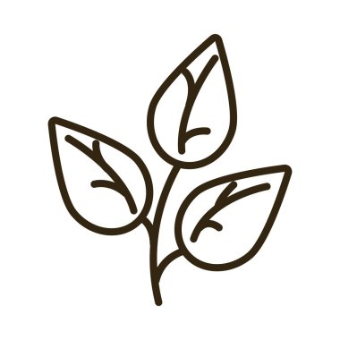 Kereviz yaprakları beyaz arkaplanda, satır biçimi simgesi