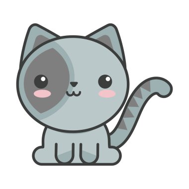 Beyaz arka planda sevimli kedi, kedi evcil