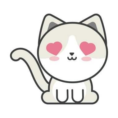 Beyaz arka planda sevimli kedi, kedi evcil