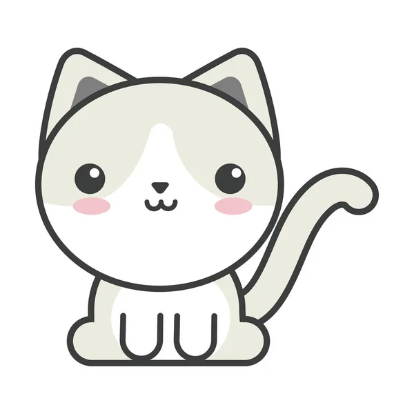 Gato lindo sobre fondo blanco, felino doméstico — Vector de stock