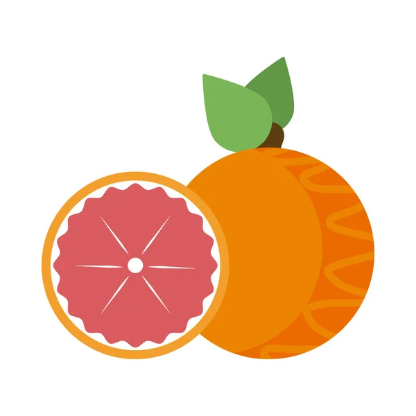Naranja fresca y deliciosa sobre fondo blanco — Vector de stock