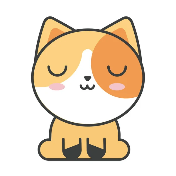 Gato lindo sobre fondo blanco, felino doméstico — Vector de stock