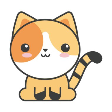 Beyaz arka planda sevimli kedi, kedi evcil