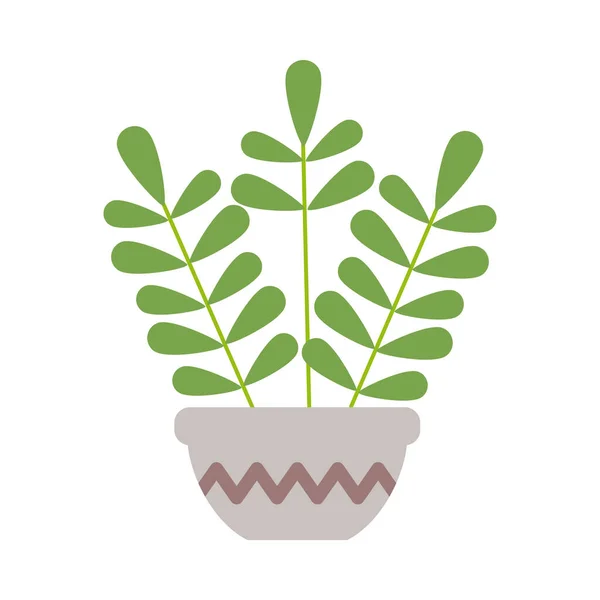 Planta de interior con maceta sobre fondo blanco — Vector de stock