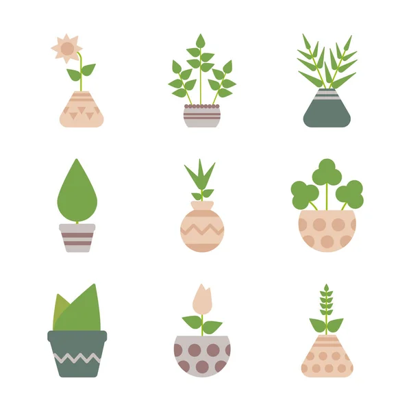 Set iconen kamerplanten met potgrond — Stockvector