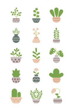 saksısı olan ikon ev bitkileri