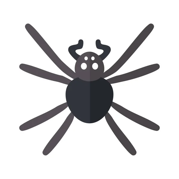 Spider insect, flat style icon — Stock Vector