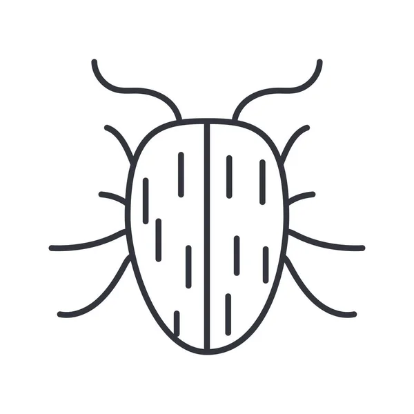 Bed bug insect, line detail style icon — Stock Vector