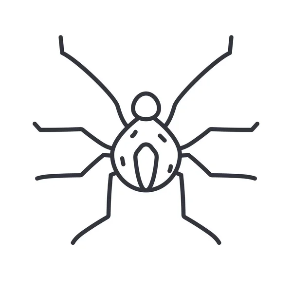 Spinnen Insekt Symbol, Linie Detail Stil — Stockvektor