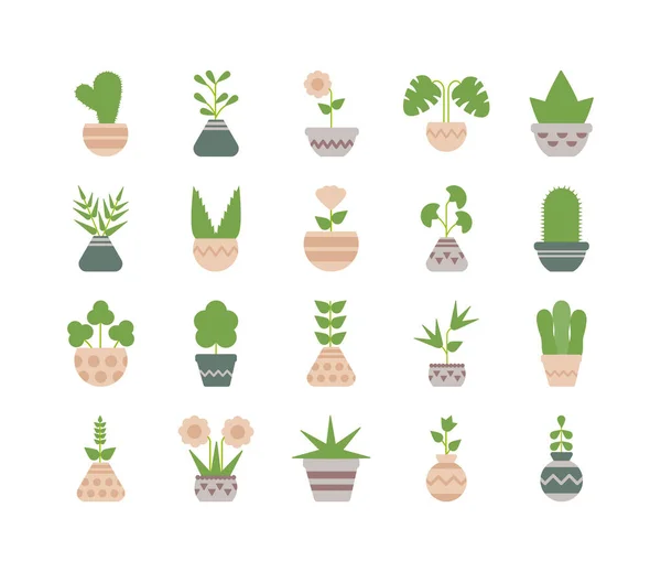 Set iconen kamerplanten met potgrond — Stockvector