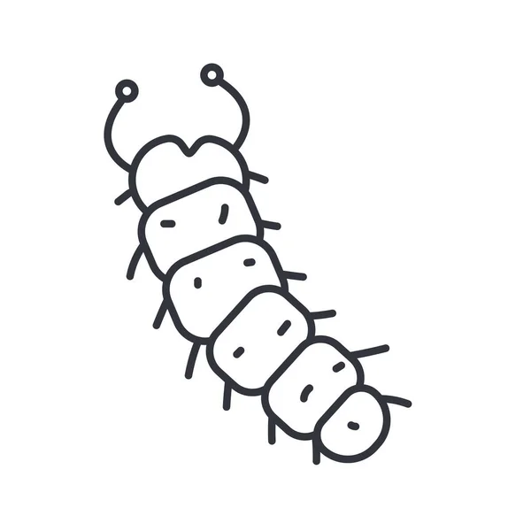 Grub insect icoon, lijn detail stijl — Stockvector