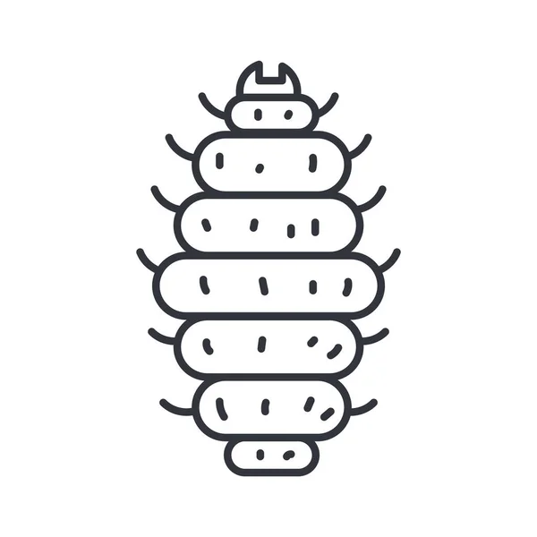 Maggot insect icon, line detail style — Stock Vector