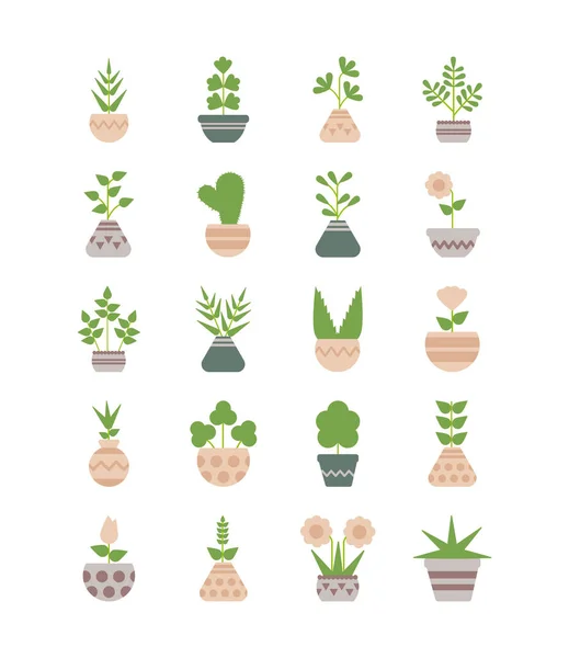 Uppsättning ikoner krukväxter med krukväxter — Stock vektor