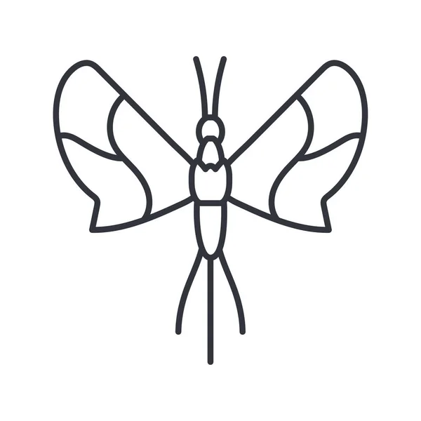 Blad vlinder insect, lijn detail stijl pictogram — Stockvector
