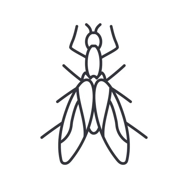 Slangenvlieg insect, lijn detail stijl pictogram — Stockvector