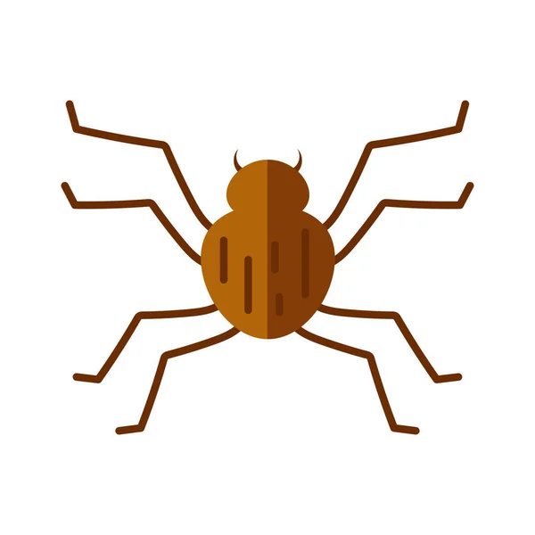 거미 곤충의 아이콘, 납작 한 형태 — 스톡 벡터