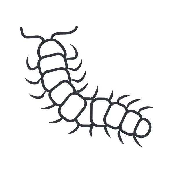 Centipede insect, line detail style icon — Stock Vector