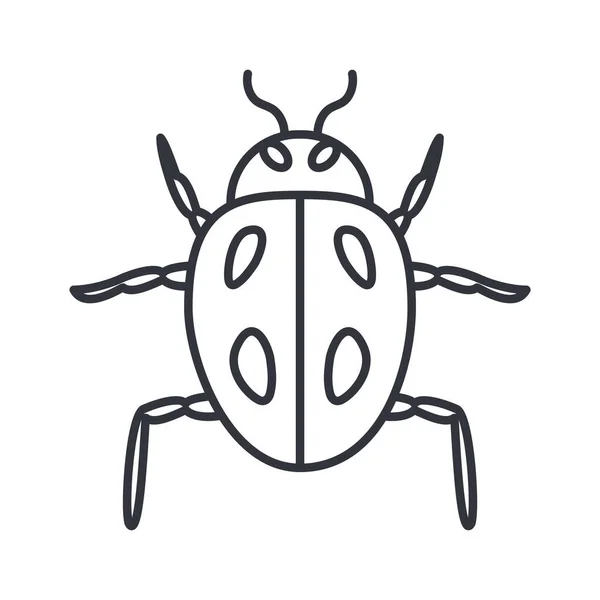 Lieveheersbeestje icoon, lijn detail stijl — Stockvector