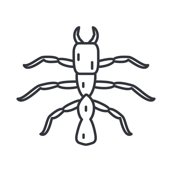 Termiet insect, lijn detail stijl pictogram — Stockvector