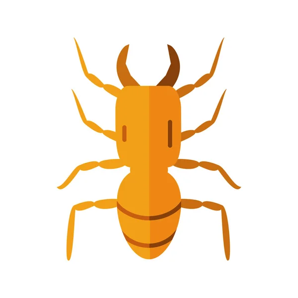 June bug, икона плоского стиля — стоковый вектор