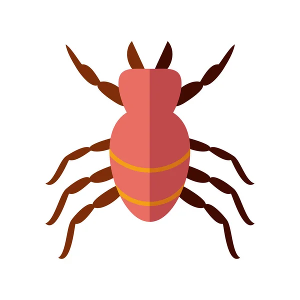 Milbe Insekt, flache Stil-Symbol — Stockvektor