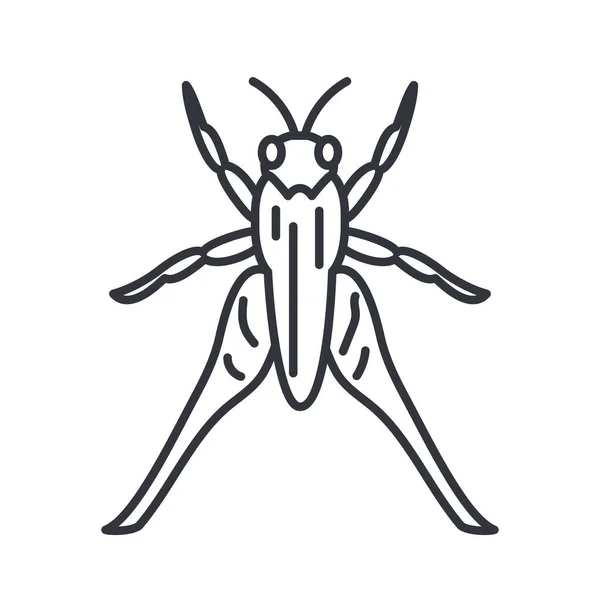 Sprinkhaan insect, lijn detail stijl icoon — Stockvector