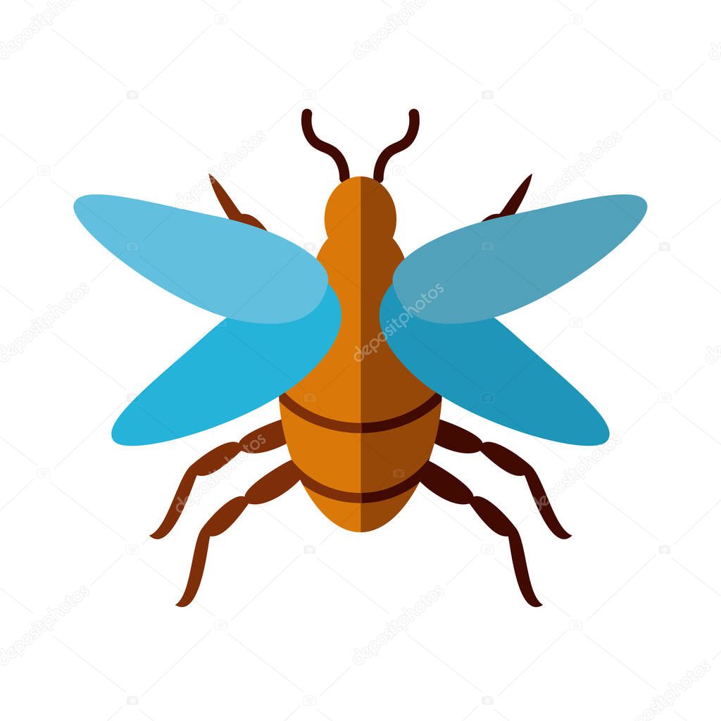 mayfly insect icon, flat style