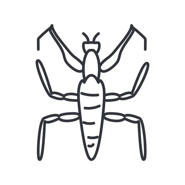 Mantis insecto, línea detalle estilo icono — Vector de stock