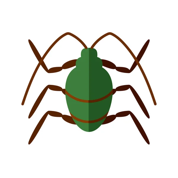 Icône d'insecte scarabée puant, style plat — Image vectorielle