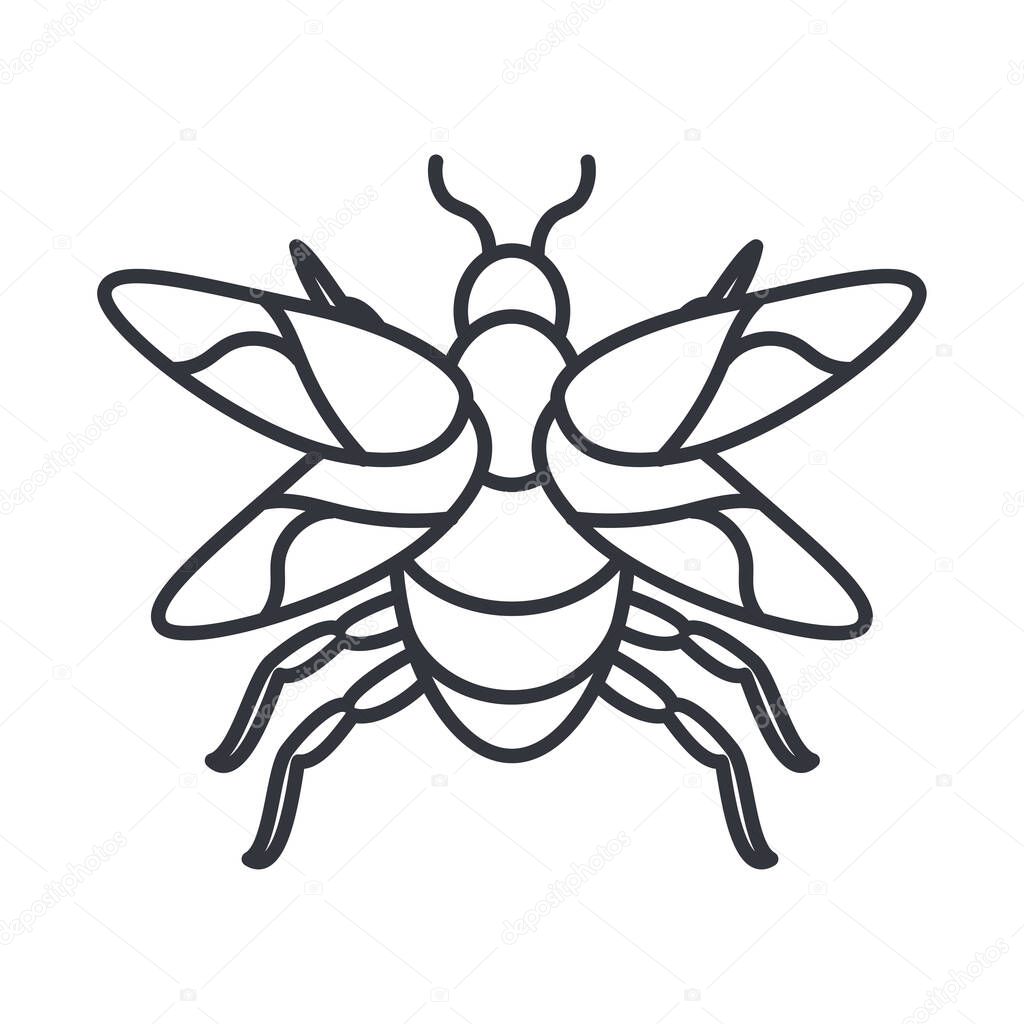 mayfly insect icon, line detail style