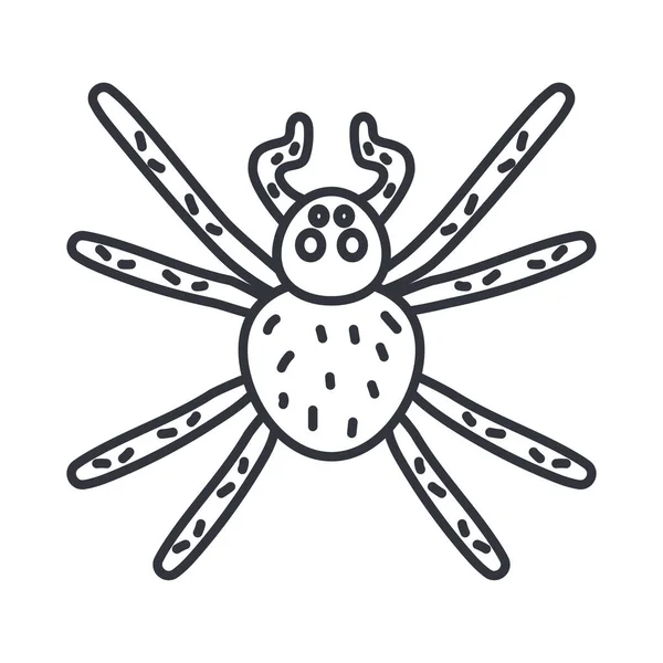 Spider insect, line detail style icon — Stock Vector