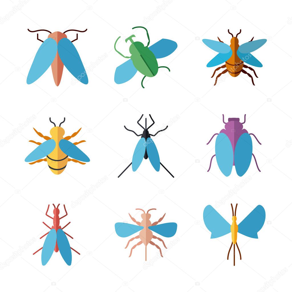 flies insects icon set, flat style