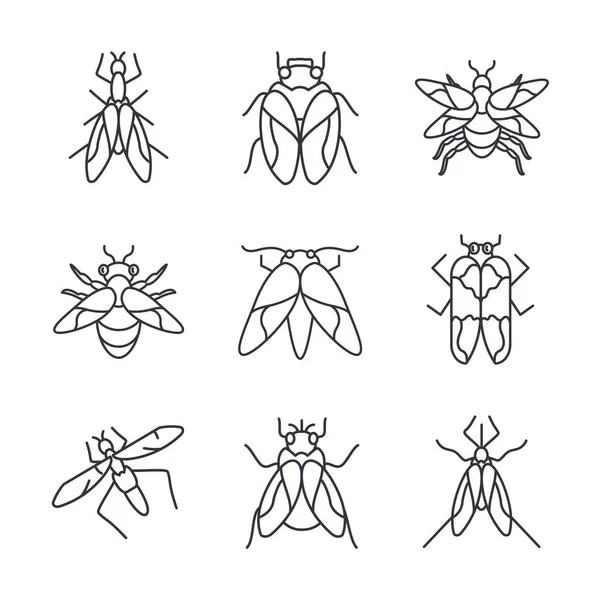 Fliegen Insekten Icon Set, Linie Detail Stil — Stockvektor