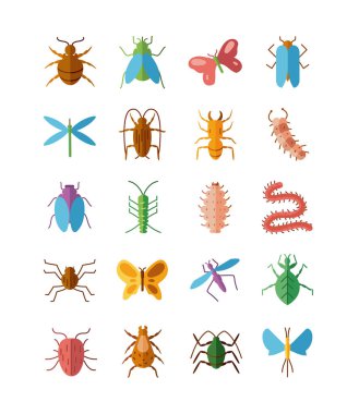 Kelebek ve böcek simgesi seti, düz stil