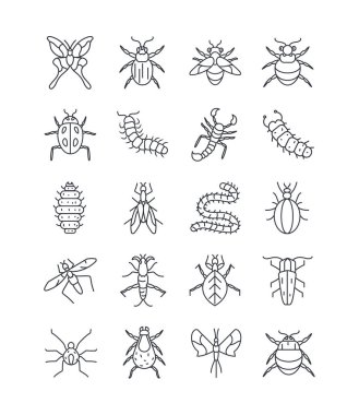 Kelebek ve böcek simgesi seti, satır ayrıntı biçimi
