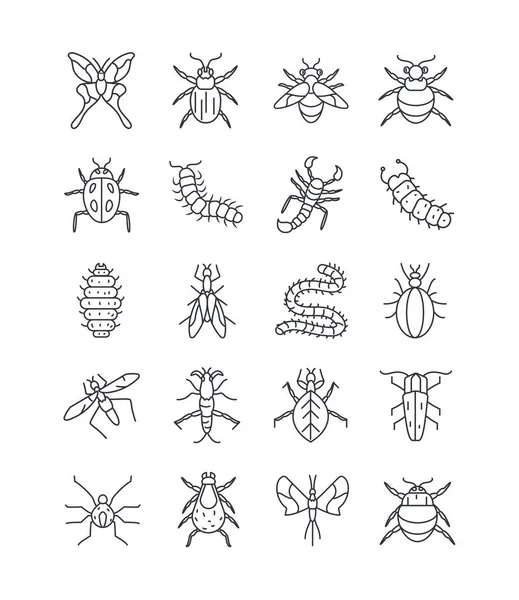 Conjunto de ícones de borboleta e insetos, estilo de detalhe de linha — Vetor de Stock