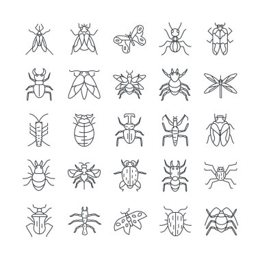 Beyaz arka plan üzerinde,