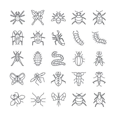 karınca ve böcek simgesi seti, satır ayrıntı biçimi