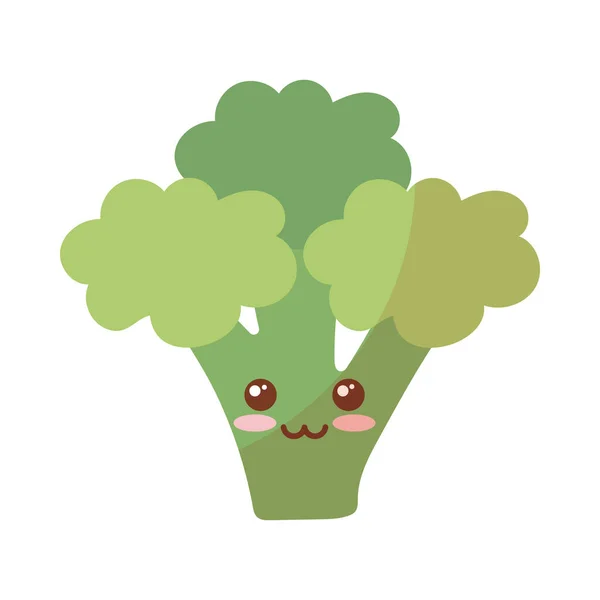 Vegetal fresco y saludable, brócoli sobre fondo blanco — Vector de stock