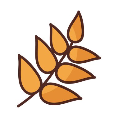 Beyaz arkaplanda buğday yaprakları