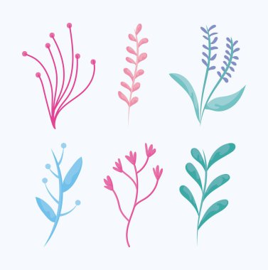 beautiful leaves icon set over white background, colorful design