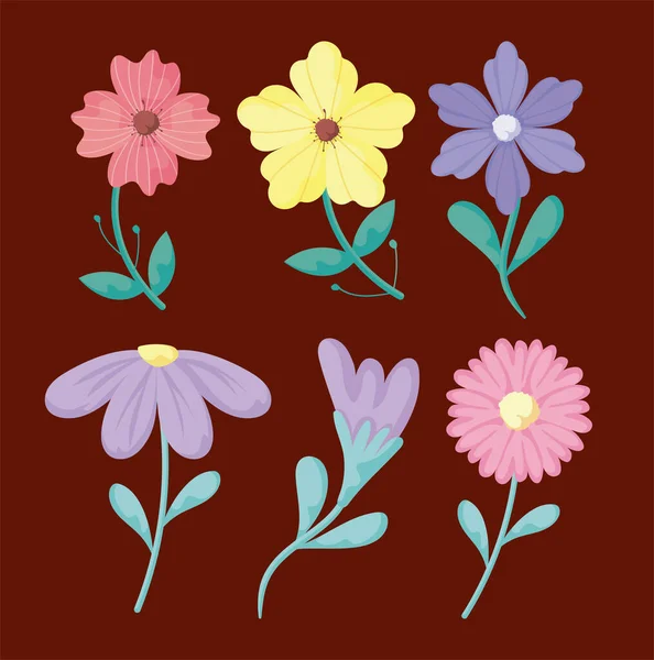 Spring flowers icon set over brown background, colorful design — Stok Vektör