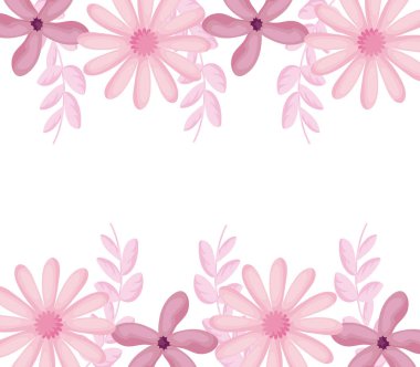 Beyaz arka planda pembe güzel çiçekler, renkli tasarım.