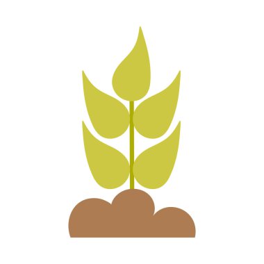 beyaz arkaplanda yeşil yapraklar