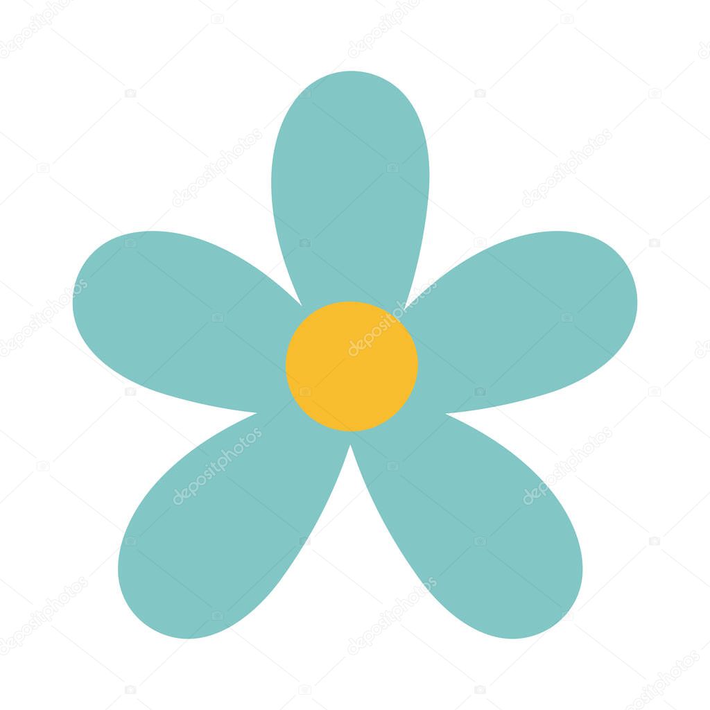 cute spring flower on white background