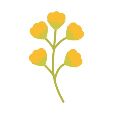 Beyaz arka planda sevimli bahar çiçekleri