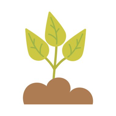 beyaz arkaplanda yeşil yapraklar