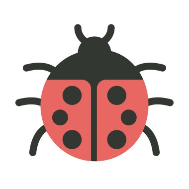 Beyaz arka planda güzel uğur böceği