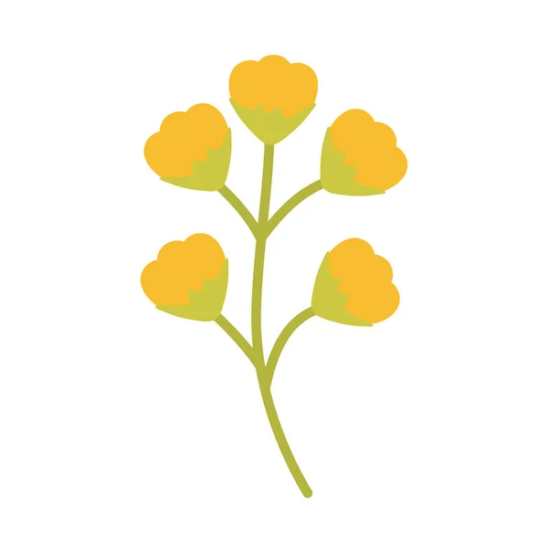 Linda flor de primavera sobre fondo blanco — Vector de stock