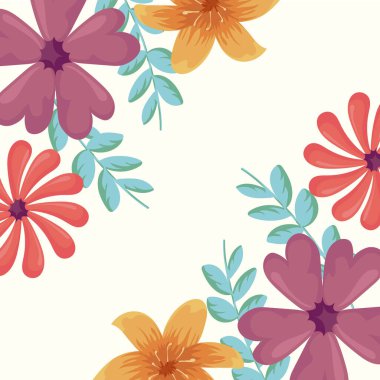 Beyaz arka planda renkli ve güzel çiçekler